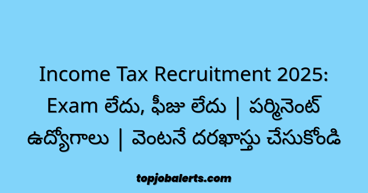 Income Tax Recruitment 2025: Exam లేదు, ఫీజు లేదు | పర్మినెంట్ ఉద్యోగాలు | వెంటనే దరఖాస్తు చేసుకోండి